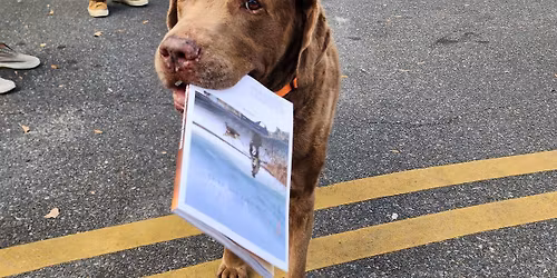 54th Annual Waterfowl Festival