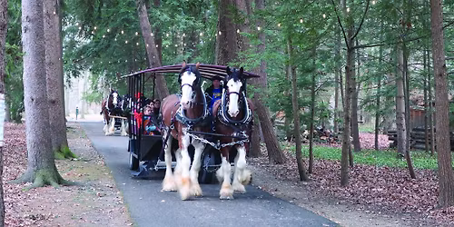 Sleigh and trolley rides the week after Christmas