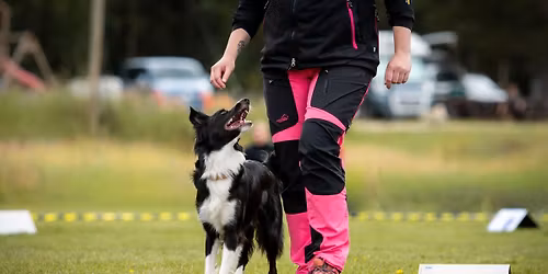 Rallylydighetstevne Innend\u00f8rs