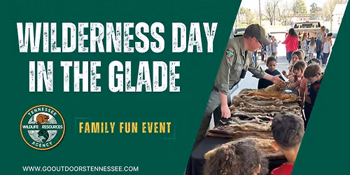 Wilderness Day in the Glade