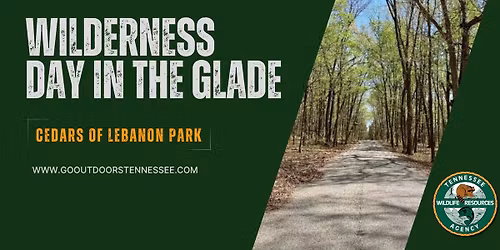 Wilderness Day in the Glade