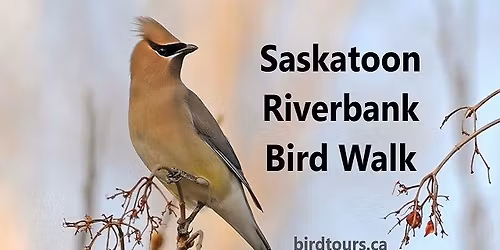 Saskatoon Riverbank Guided Bird Walk