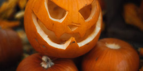 Save the Date! Resource Renew's 3rd Annual Pumpkin Palooza