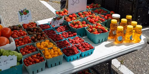 Brooklyn Park Farmers Market