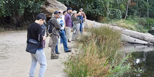 Lodi Lake Bird Walk