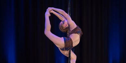 2026 PSO Netherlands Pole Championships