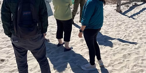 New Year's Day Hike - Changes in Nature