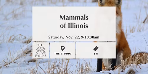 Mammals of Illinois