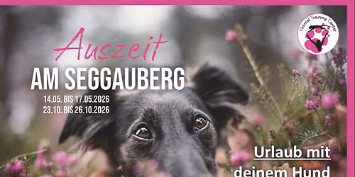 Urlaub mit Hund - Auszeit am Seggauberg