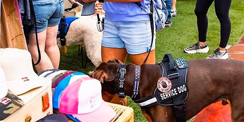 The Makers Hive Market at Desert Ridge