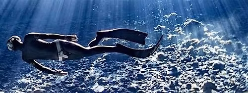 NoTanx Freediving - Brighton Wednesday Session