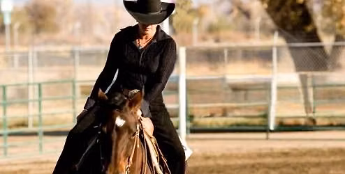 Western Super Horse Series #4