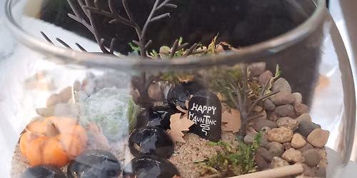 Workshop Autumn Terrarium 10\/4 @11am