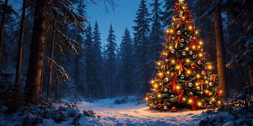 The Christmas Tree Ceremony - UK Milton Keynes