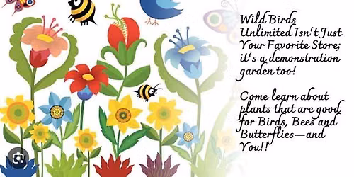 Tour of Wild Birds Unlimited Garden: Native Plants You Can Grow