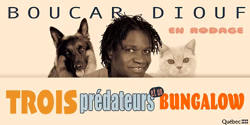 Trois pr\u00e9dateurs et un bungalow | Boucar Diouf