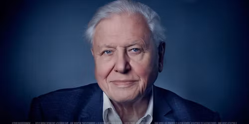 David Attenborough: A Life On Our Planet (PG)