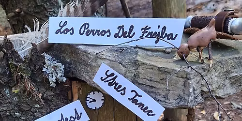 RETROPROTEST, DGVM, LOS PERROS DEL FR\u00ddBA, STRES TANEC