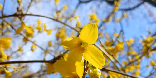 Family Activities in summer for children with SEND