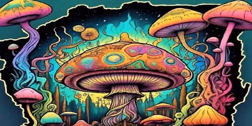 One Way Out at the Hawthorn Hollow Nature Sanctuary 