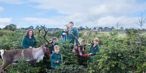 🌲🌲🌲Cut your own Christmas Tree🌲🌲🌲