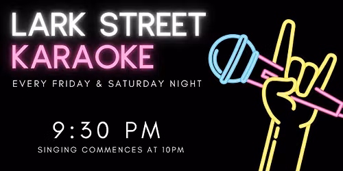 Friday Night Karaoke with Lark Street Tavern
