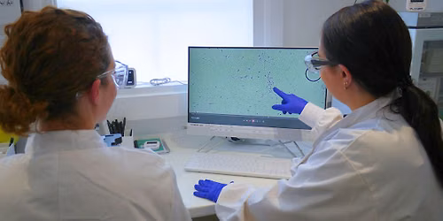 Basic Semen Analysis - Andrology Course
