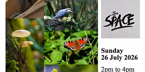 Climate Cafe - How Can I be Greener?