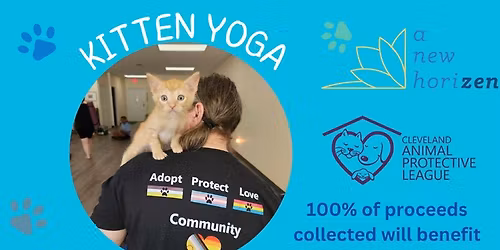 Kitten Yoga with Cleveland Animal Protective League