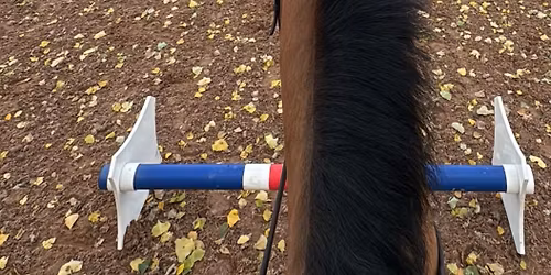 Poles & Jumping Clinic