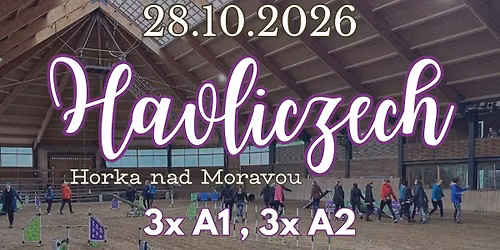Havliczech 115 s Calibrou (3 x A1 + 3 x A2 + 2 x A3 + 1 x J3)