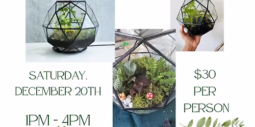 Terrarium Building Class