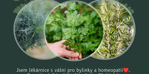 HOMEOPATIE, BYLINKY - DOM\u00c1C\u00cd L\u00c9K\u00c1RNI\u010cKA 