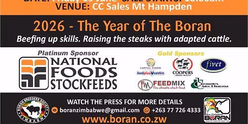 11th National ZBBS Sale