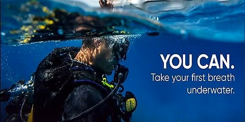 Discover Scuba Diving Experience