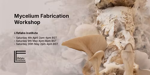Mycelium Fabrication Workshop