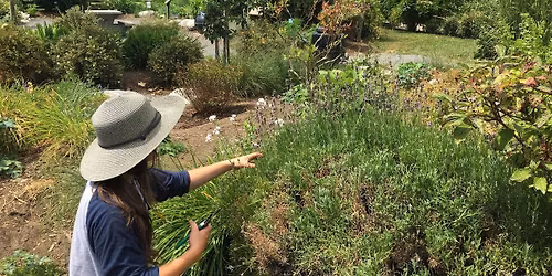 EcoExplorers Green Thumb