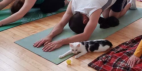Kat Yoga