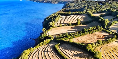 Fuzzy Dee Downhill Race