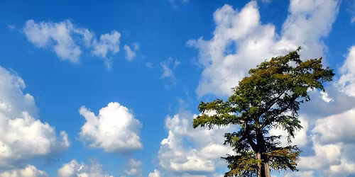 Guided Kayak Tour\/ Lake Drummond via the Great Dismal Swamp Canal