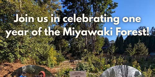 Green Issaquah: Miyawaki One-Year Anniversary Celebration