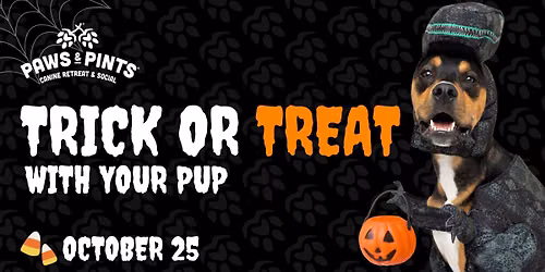 Trick or Treat with your Pup 