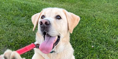 Monthly Meet & Greet - Parma PSP