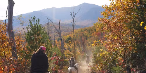 \ud83d\udc34 Horseback Trail Ride in the Smokies Getaway Package! \ud83c\udf04 $149 Per Couple