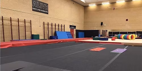 CHILD Gym "larger" (over age 11 size) **MEMBERS OF WNAG ONLY**
