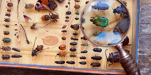 Stories from the Shelf for Kids