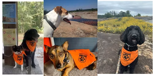 BARK Ranger Hike at Arabia Mountain