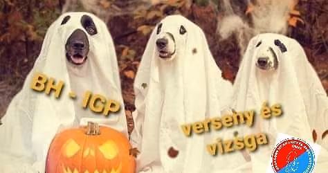 Halloween Kupa (vizsg\u00e1t ad\u00f3 verseny)