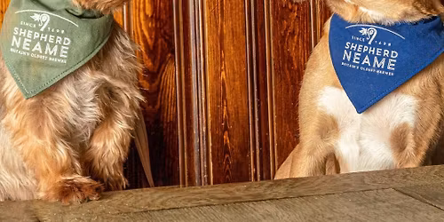 pre Christmas parties