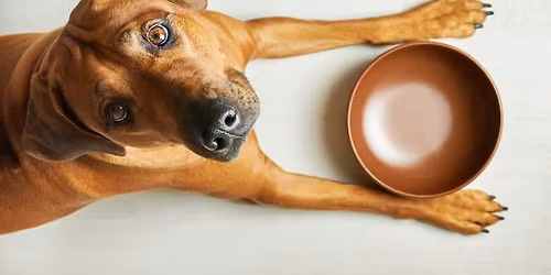 SNAP Recipient Pet Food Pantry